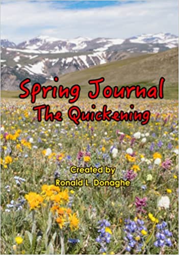 SpringJournal